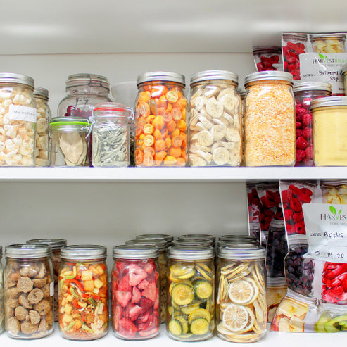 Harvest Right Medium Home Pro Freeze Dryer with Premier Vacuum Pump, 5 Trays and Mylar Starter Kit in Black (N-HRFDMBK-PP)